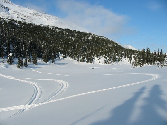 576x432 pixels (59K)